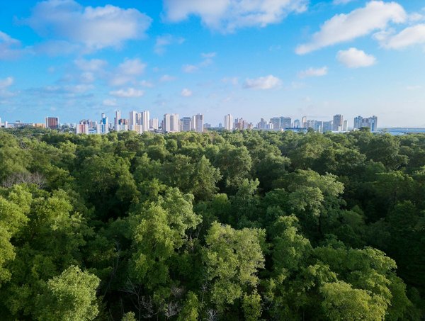 peinture à La Teste de Buch : offrez une nouvelle vie à vos murs