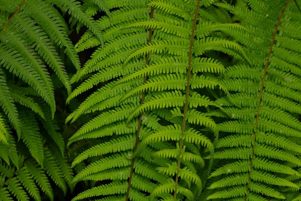 Affiche ville nice : découvrez notre collection dès 20€